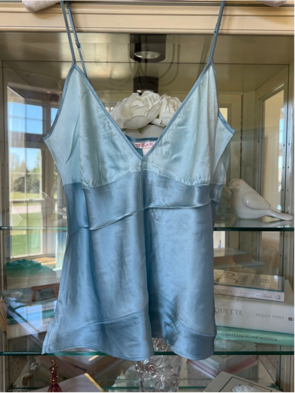 NWT Gold Hawk Blue Silk Camisole Top L